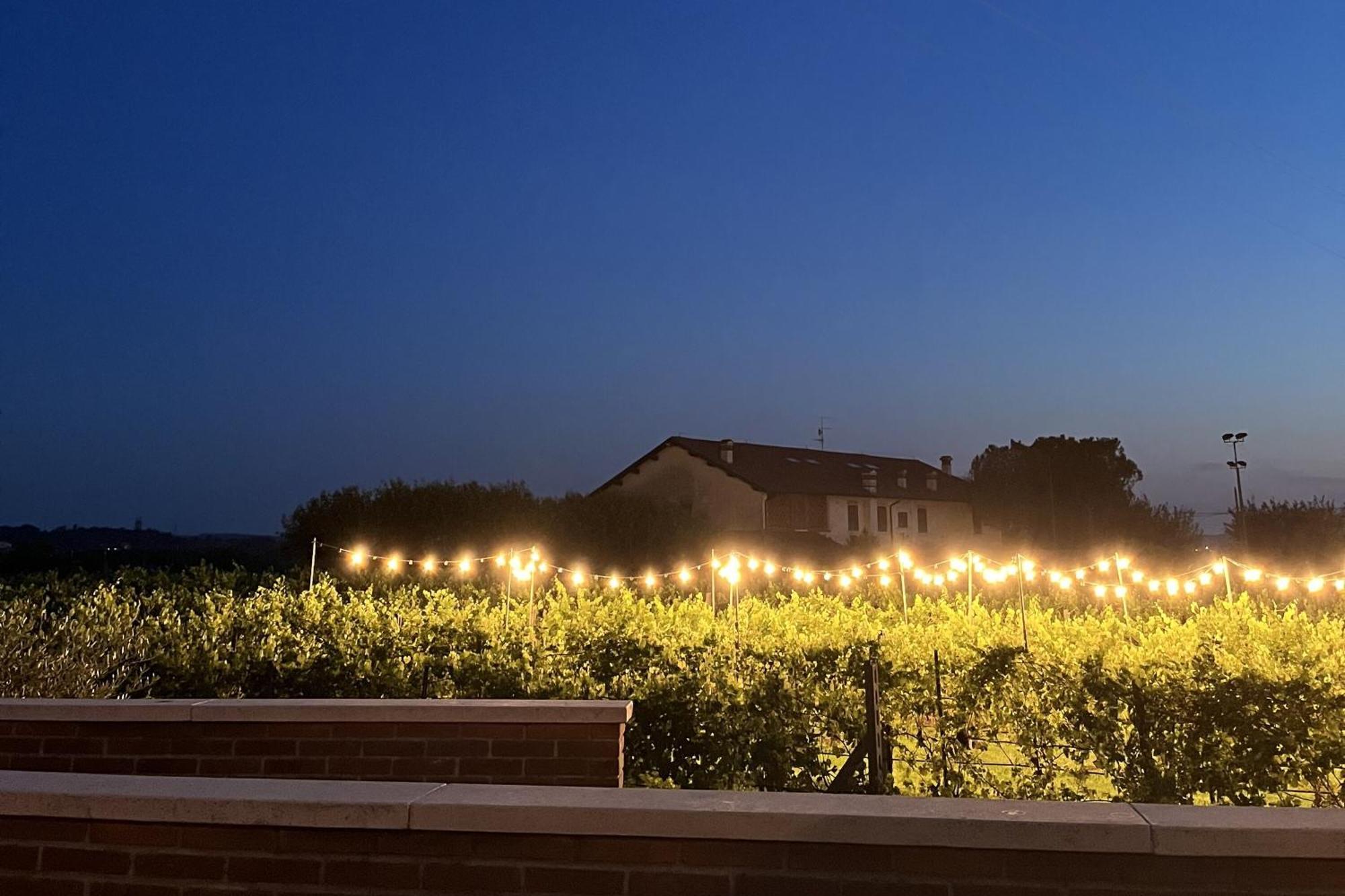 Almavite Wine Resort With Pool Desenzano del Garda Eksteriør billede